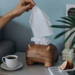 Cute Little Monster Tissue Box - 图片 7