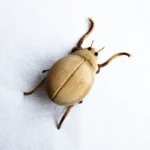 Handmade Bamboo Insects Crafts - 图片 3